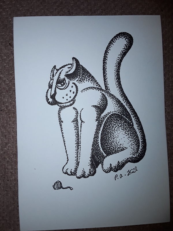 Cat