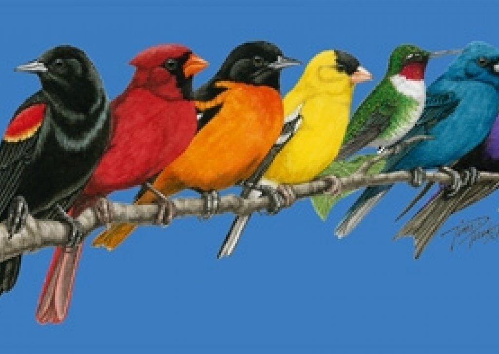 Songbirds