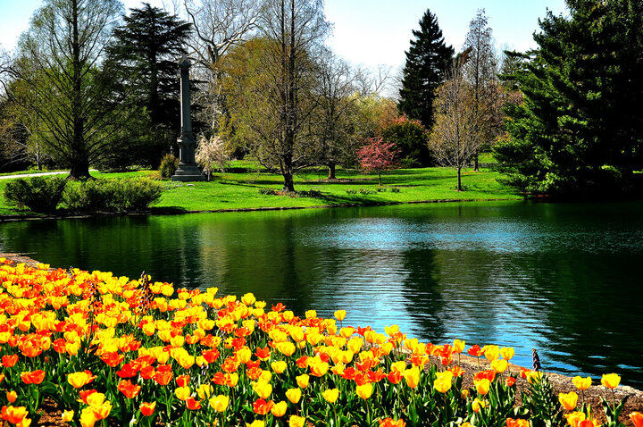 Spring