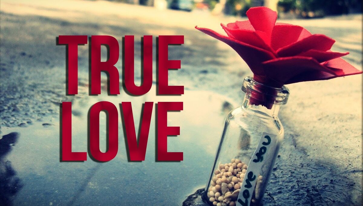 What's true love