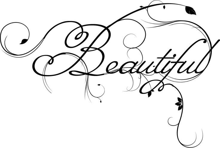 The Beauty War