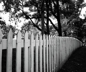 The Fence