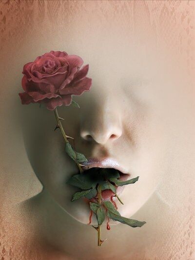 Blood Rose...