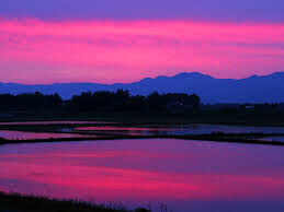 Bliss Sunset