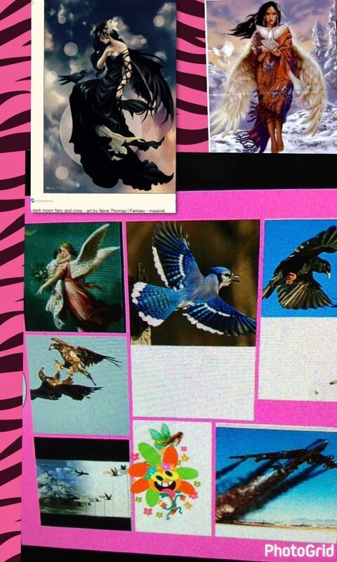 Jumbo jet vs jackdaws or jays