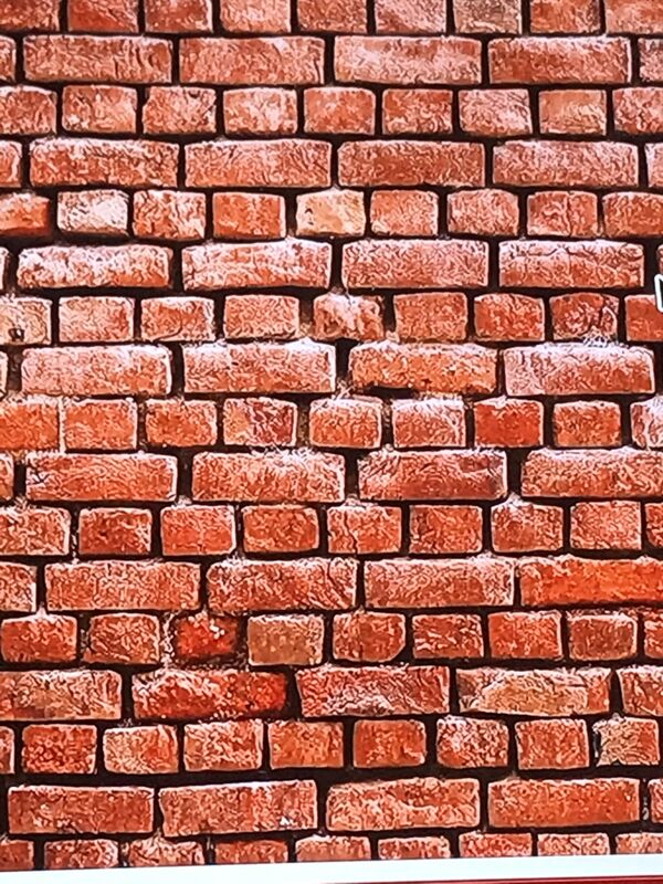 The boy and the wall