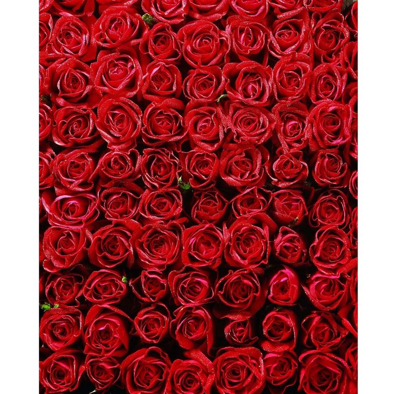 Bed of roses