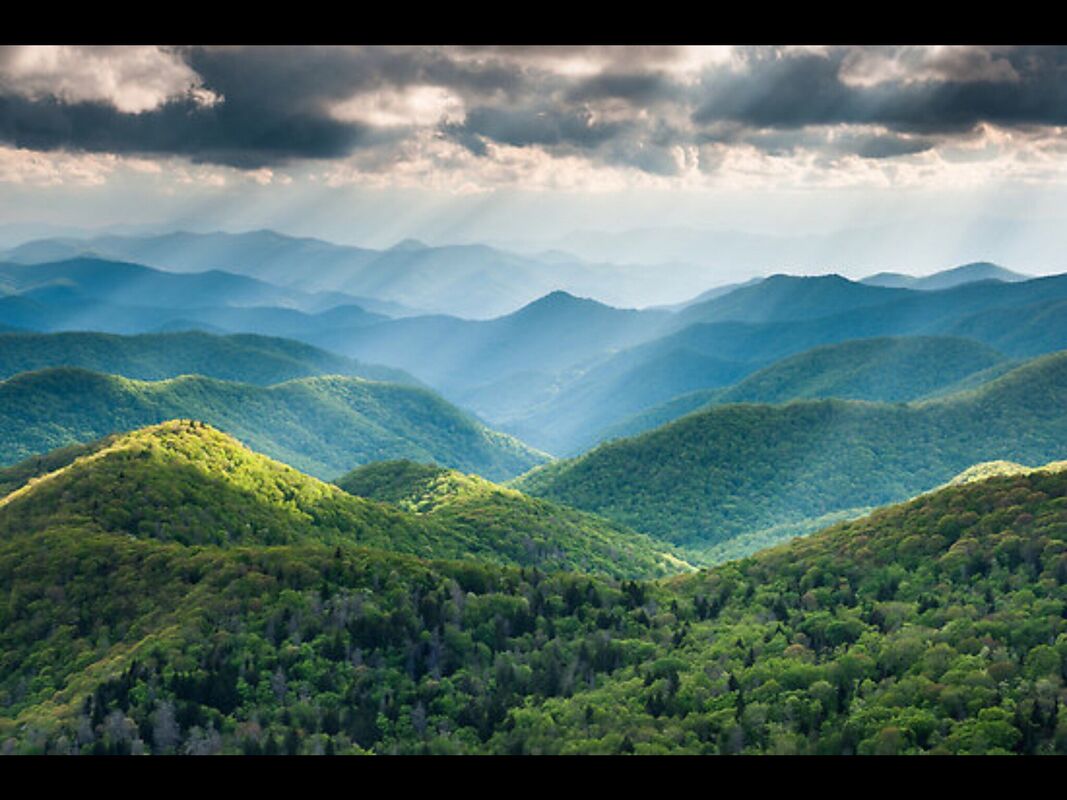 Ode to John Muir