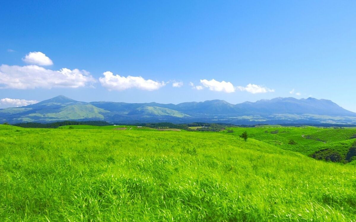 My Green Blanket...