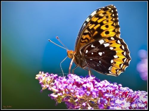 Wonderful world