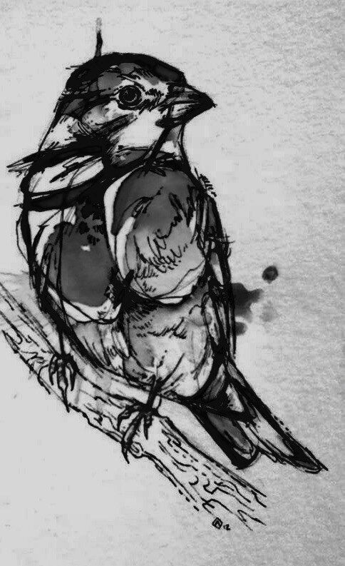 Sparrow 