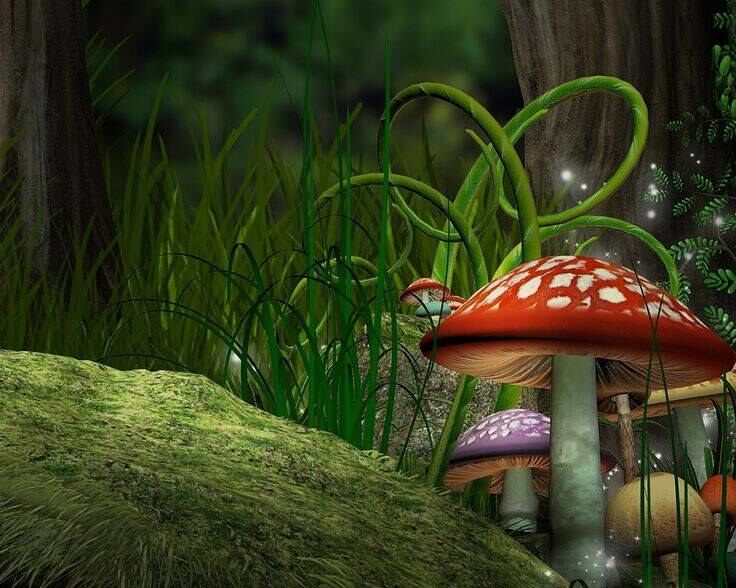 The Pixie King
