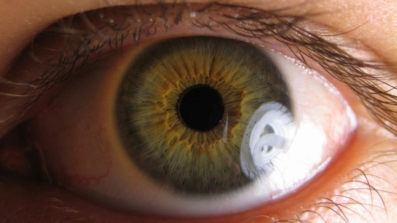 Sight and Blindness