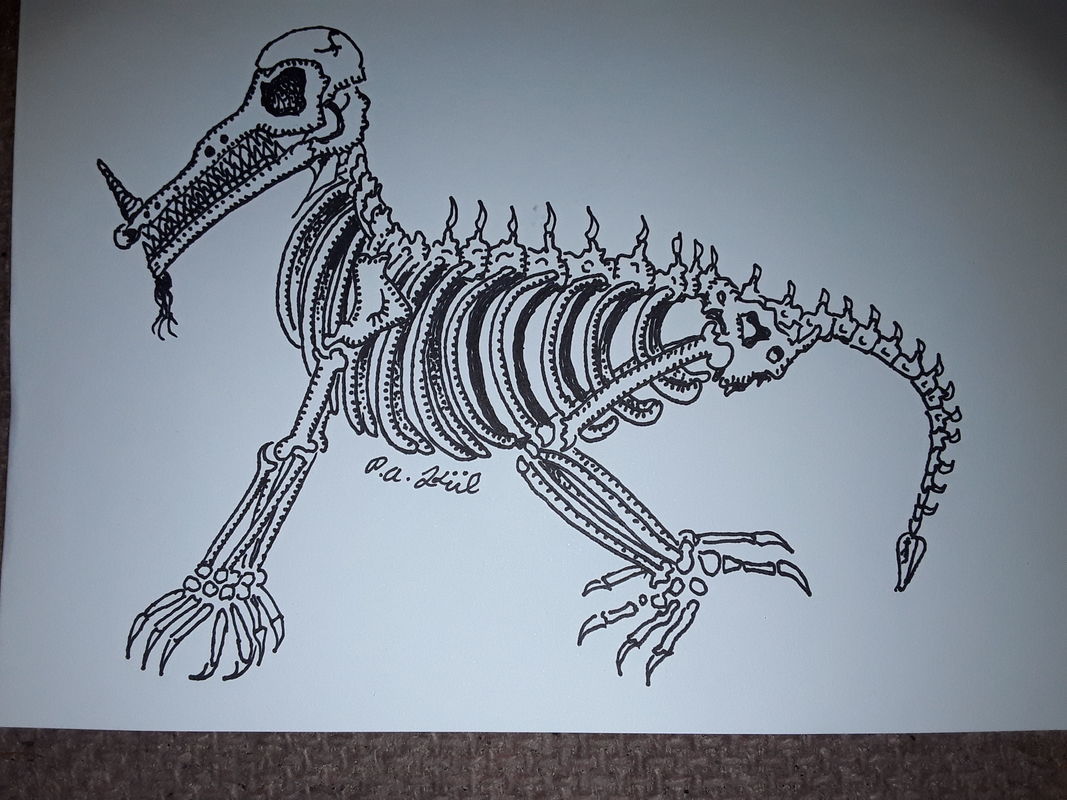 Skeleton 