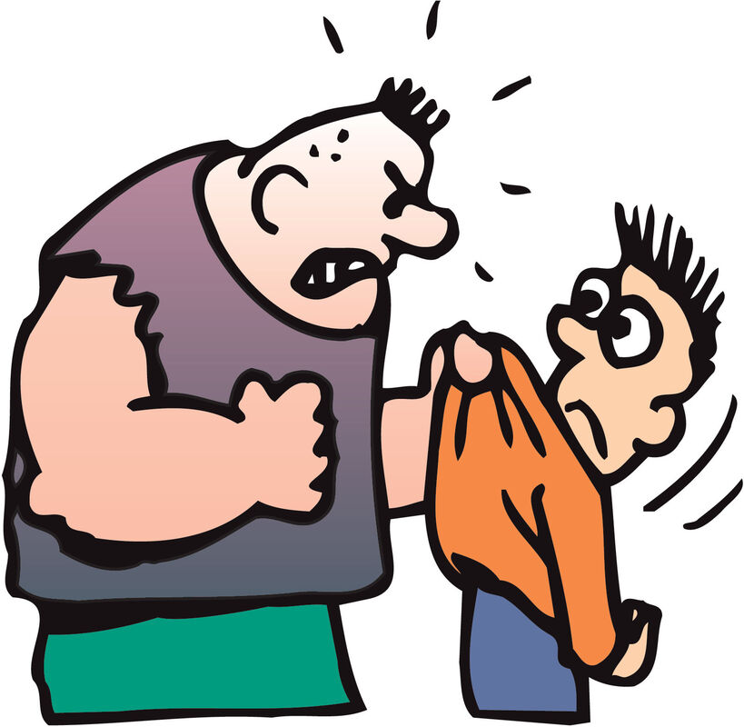 THE BULLY