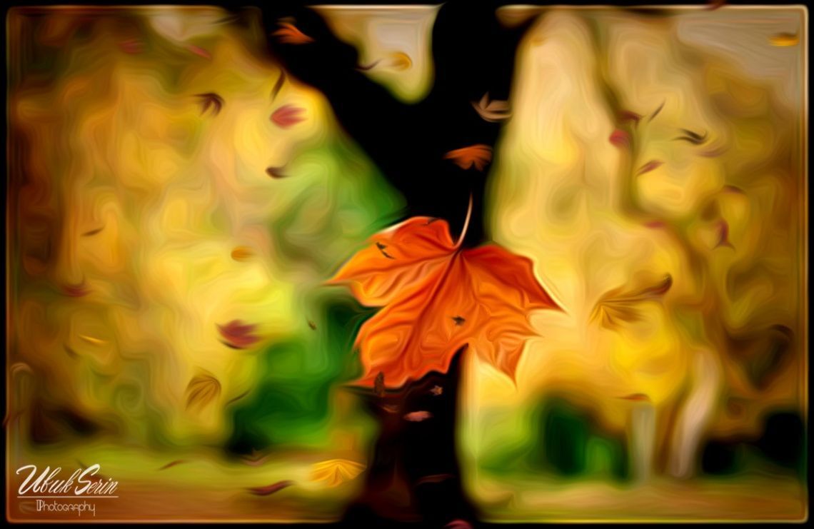 Starring at leaf