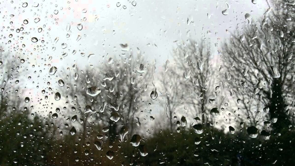 Rain at my Window