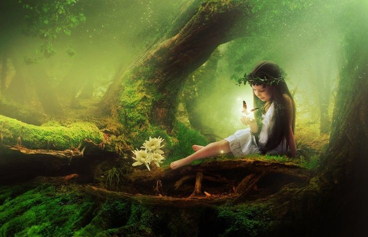 Memory&#039;s Forest