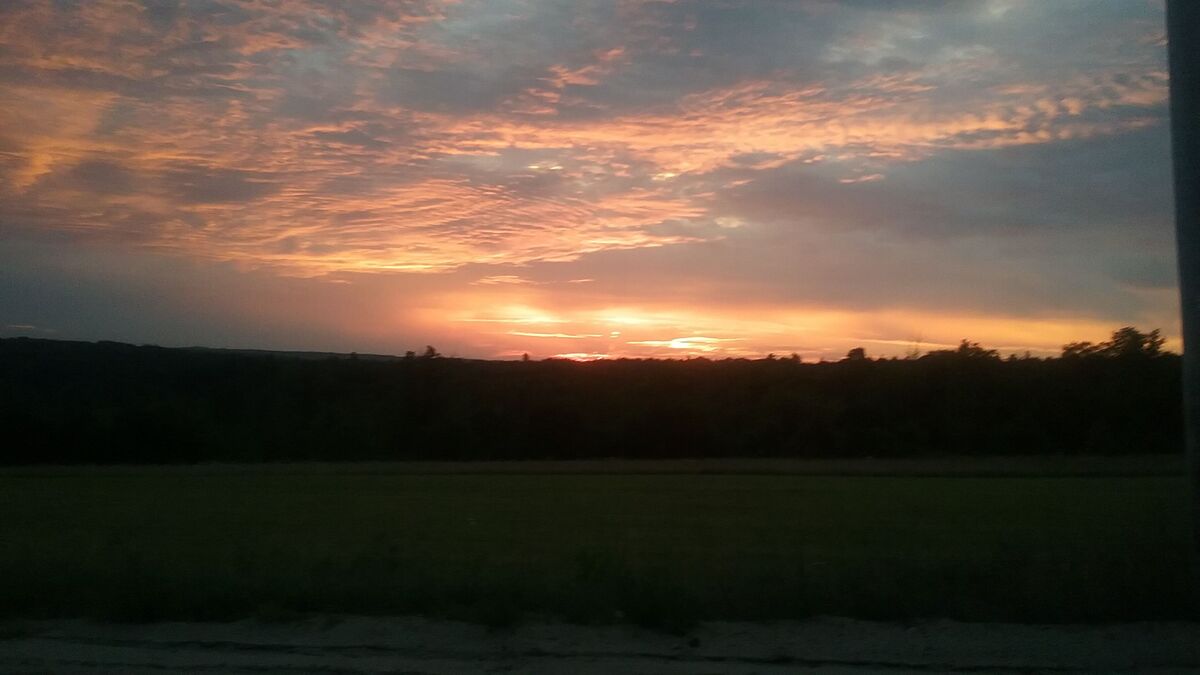 Rise and shine 