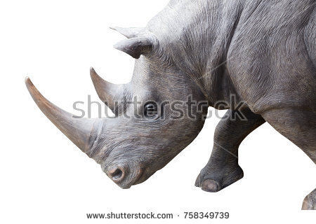 The Three Legged Rhino