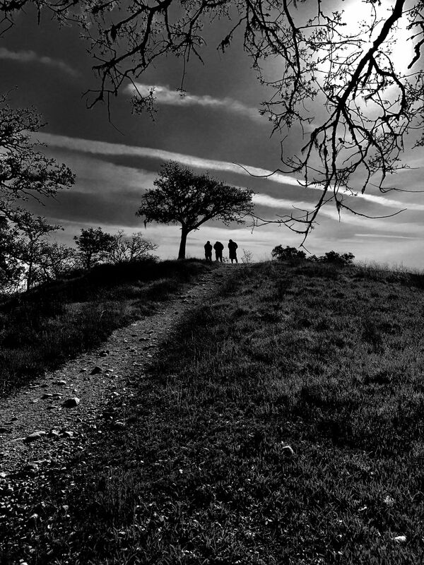 Silhouettes