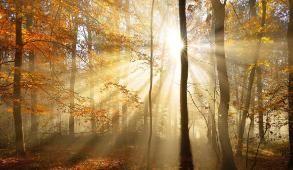 Fall of September