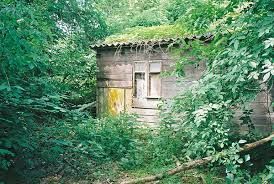 ...Ideally Primed To Write...