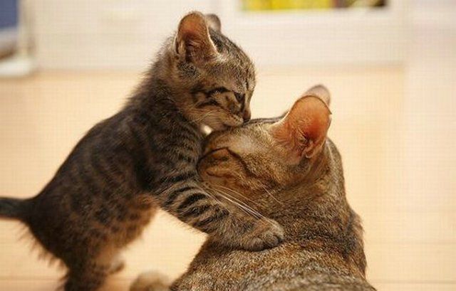The Kiss