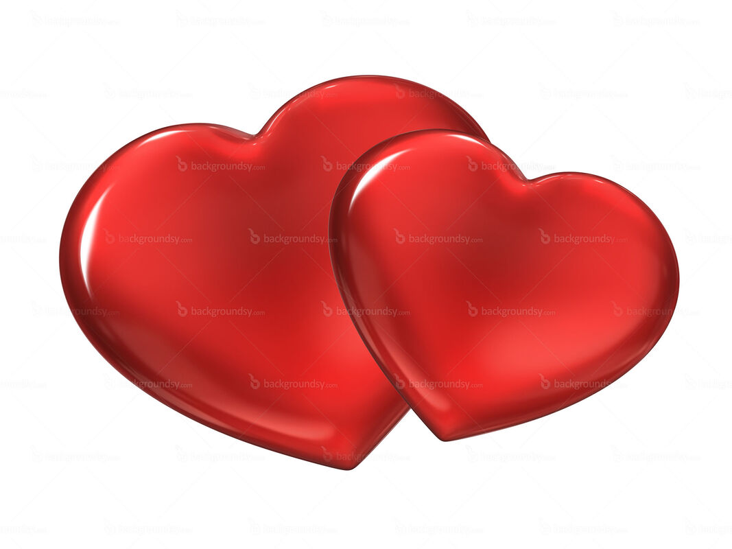 MY LOVE TO YOU