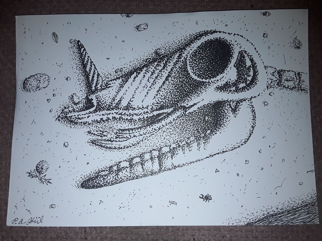 Another fossil