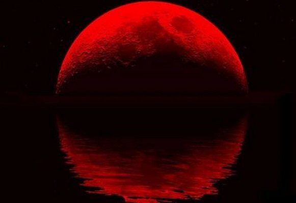 The Night