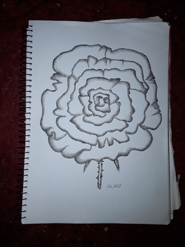 Big rose