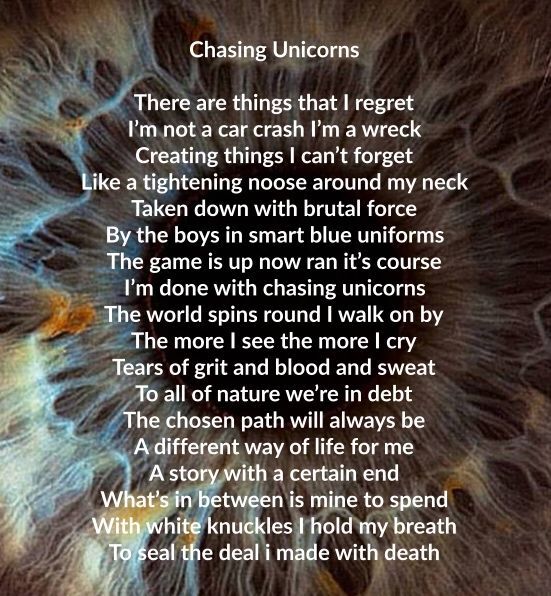 CHASING UNICORNS