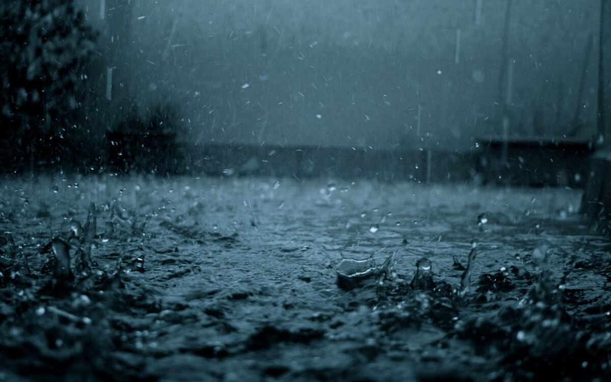 The Rain