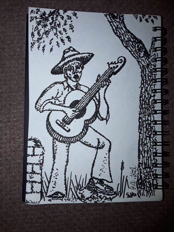 Folk singer 