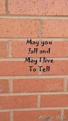The wall