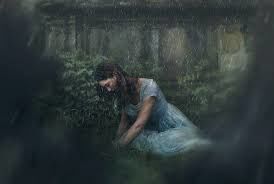 Fall Of Camellia