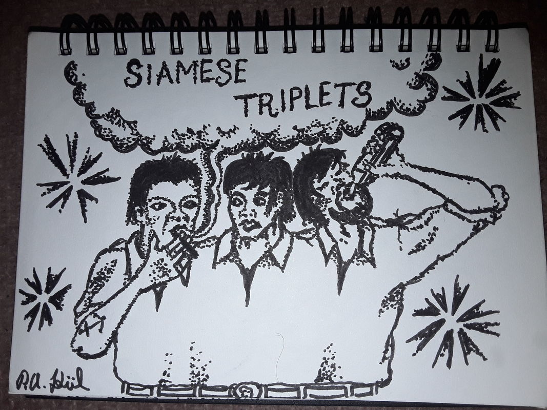 Siamese triplets 