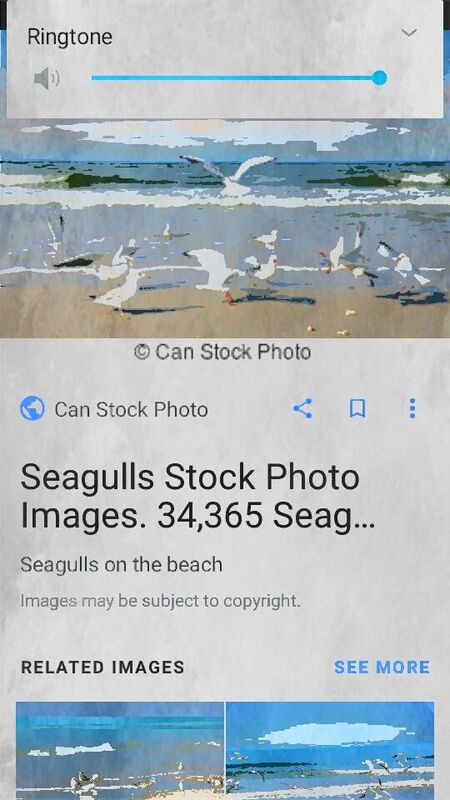 The Call Of The Sea