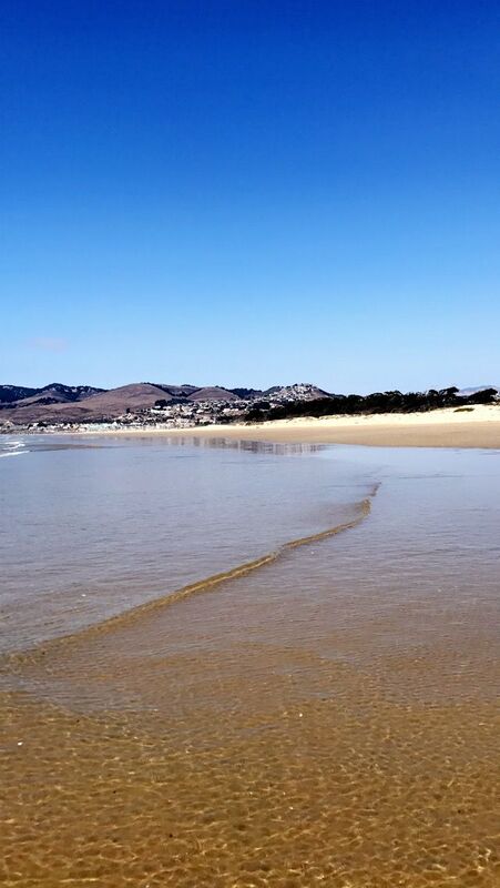 Sea Wade 
