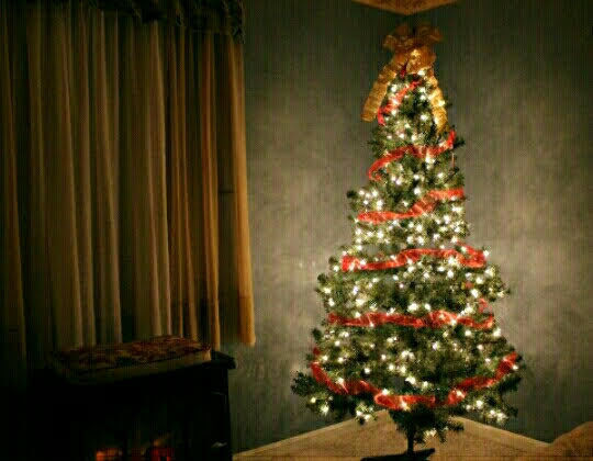 The Day Christmas Died