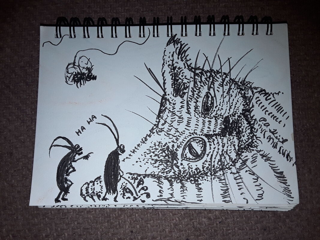 Sleepy cat