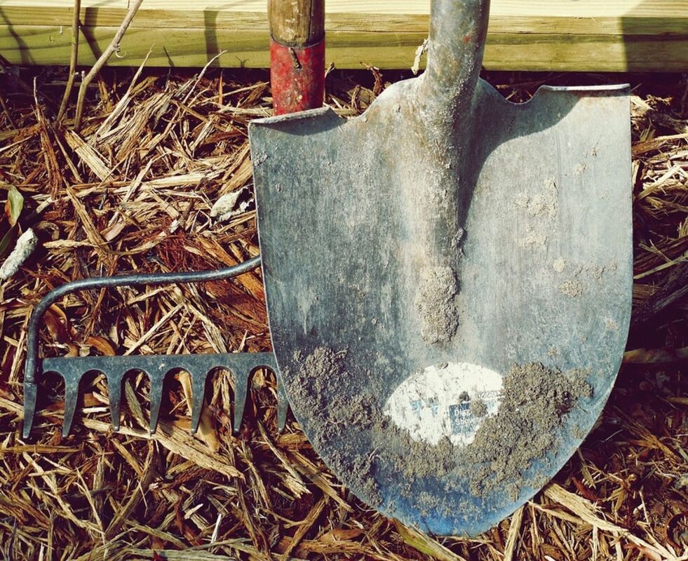 Out digging