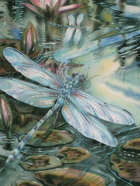 Dragonfly....Haiku