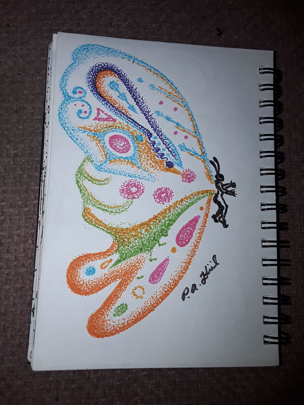 Butterfly 