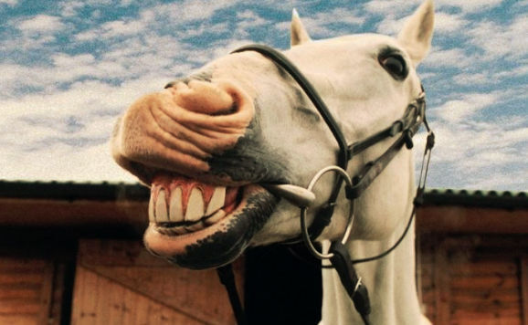 A Horsey Grin