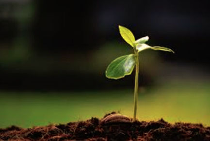 Natural Cycle