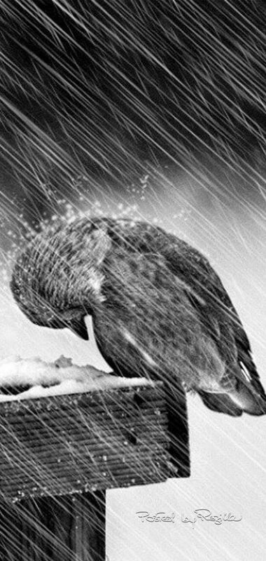 When rain knows you.