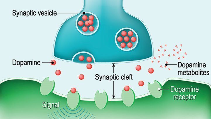 Dopamine Fixes