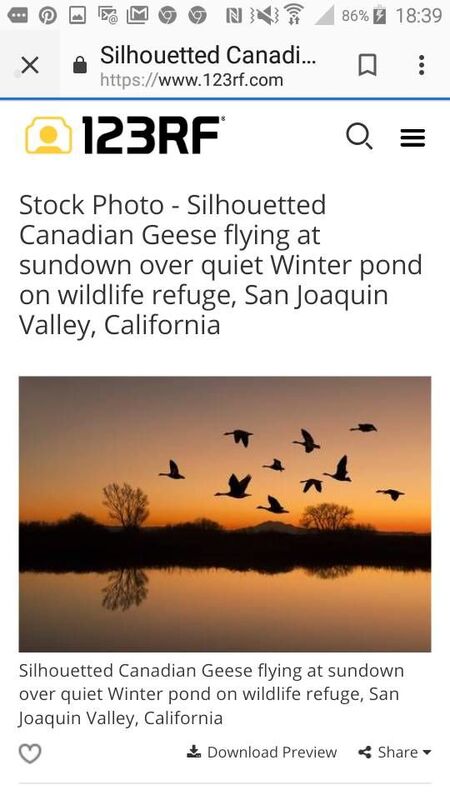 Like Wild Geese Across The Morning Sky